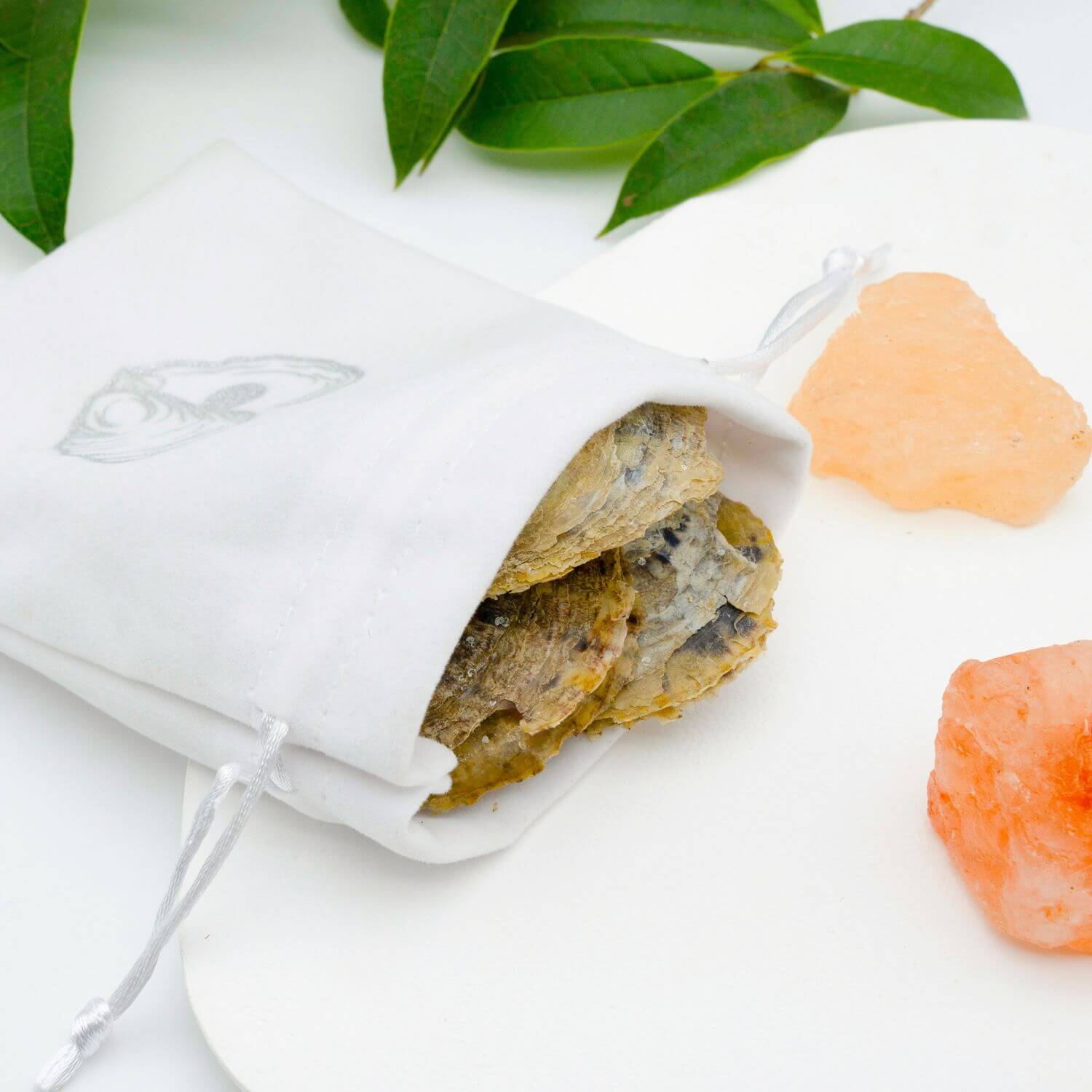 3 extra Austern - WunschPerlen3NP