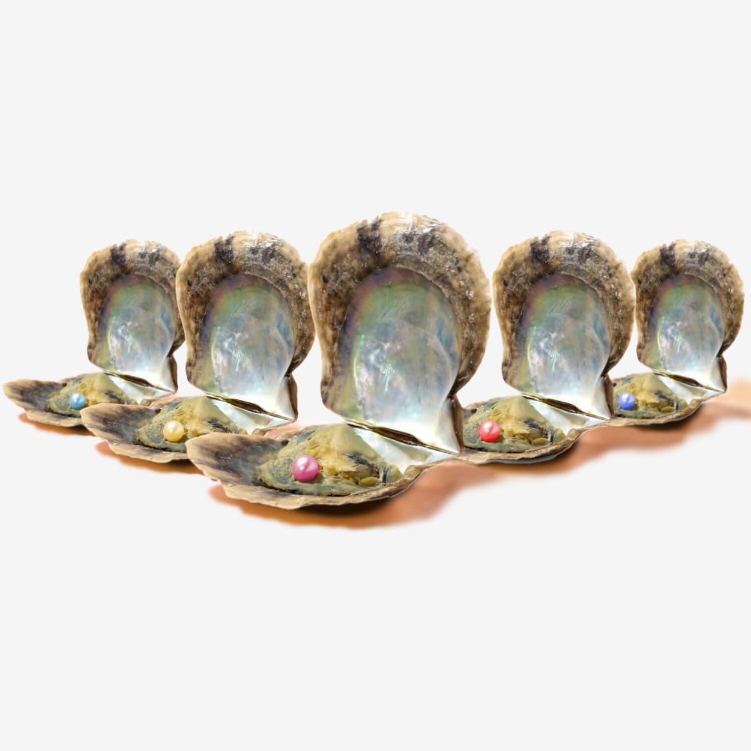 5 extra Austern - WunschPerlen5BP