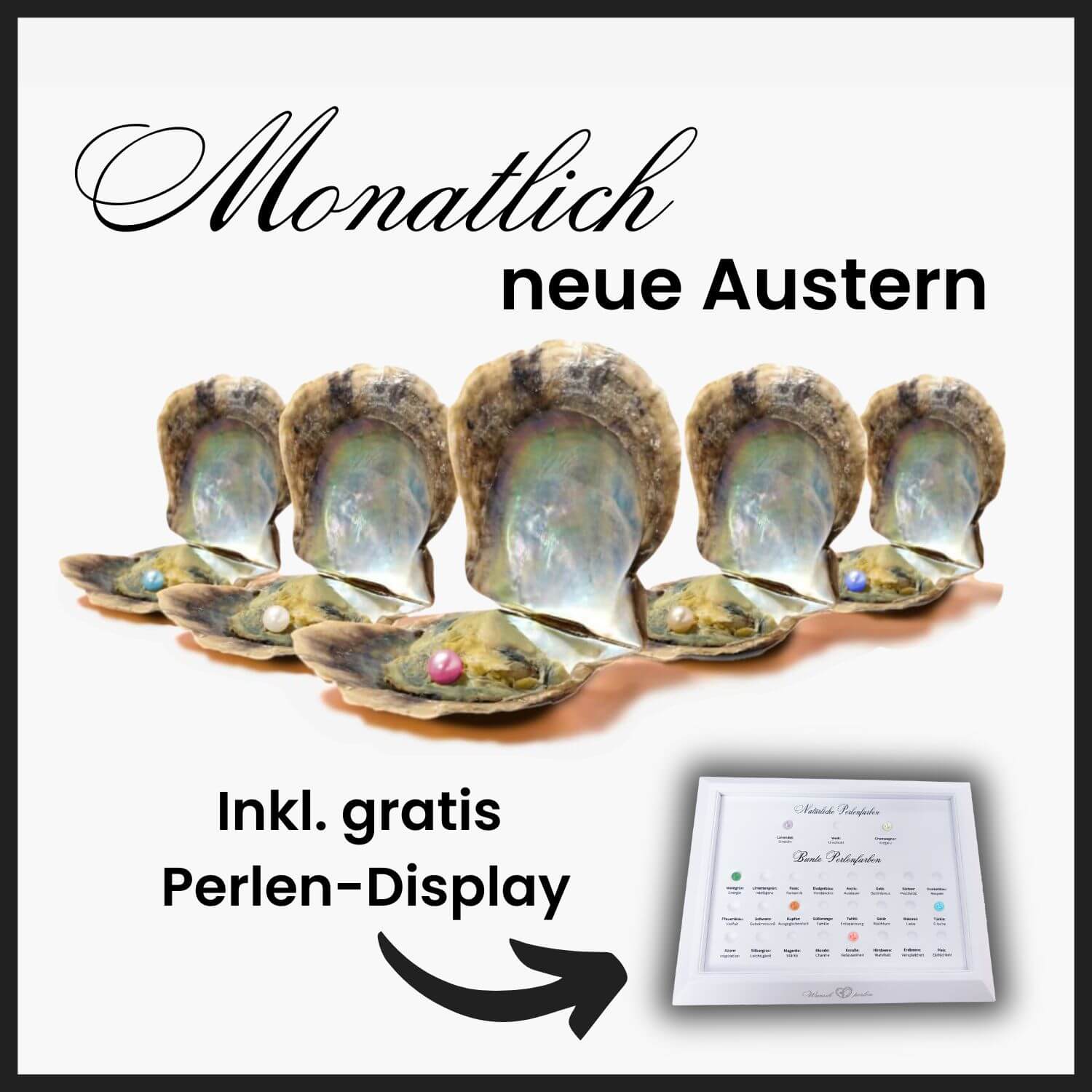 Monatliches Austern ABO