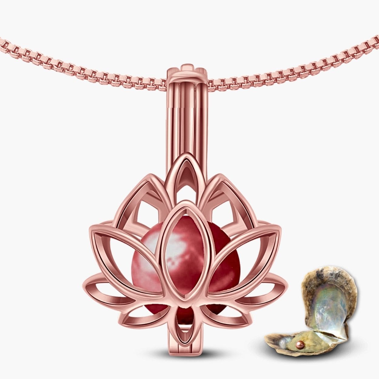 Lotus Armband + Auster