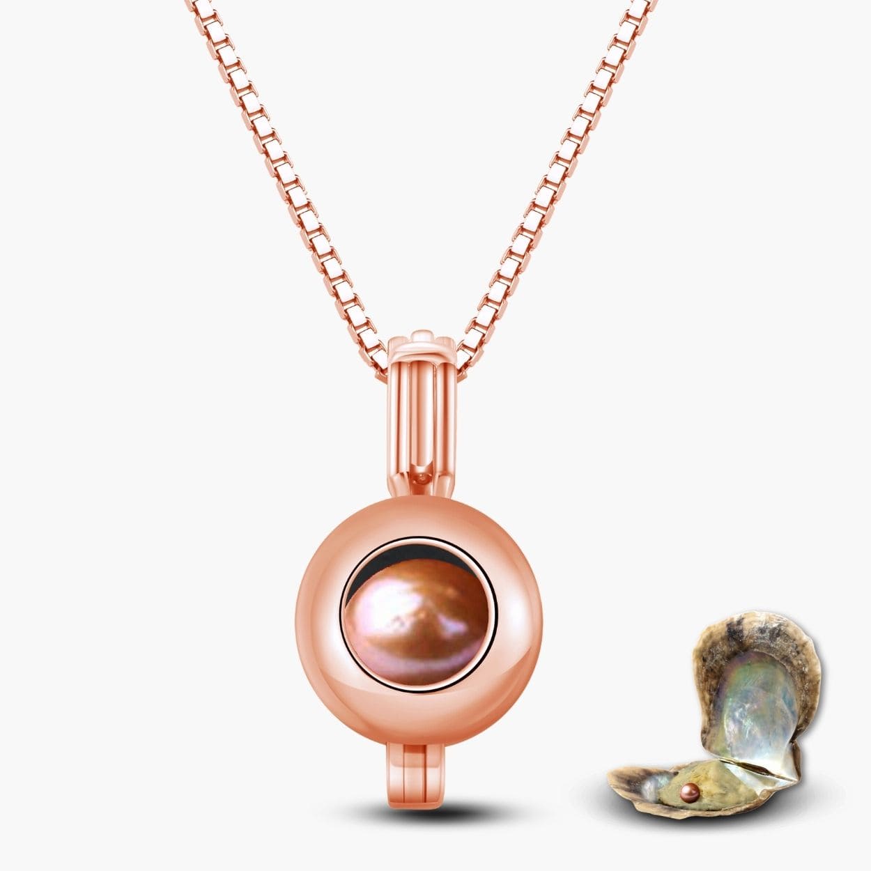 Orbis Kette + Auster