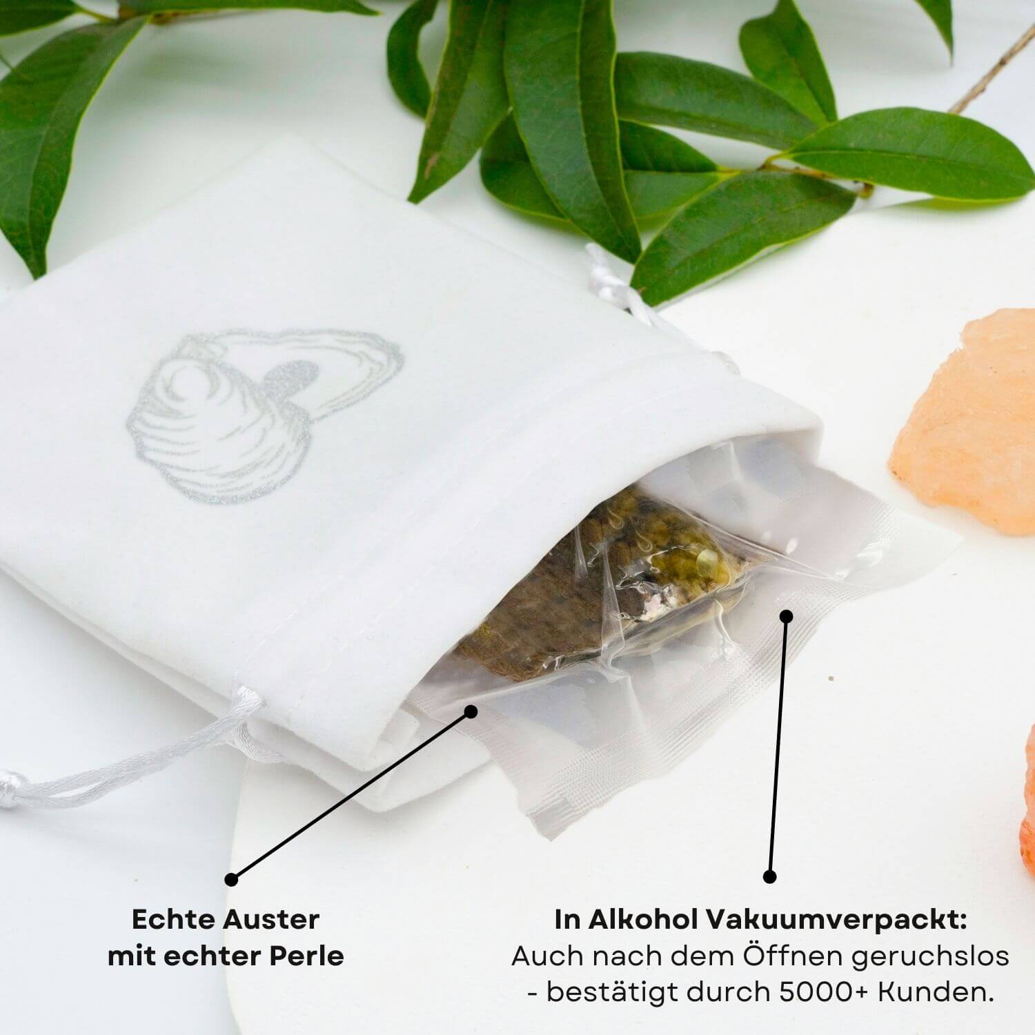 Extra Auster mit Perle - WunschPerlenNP