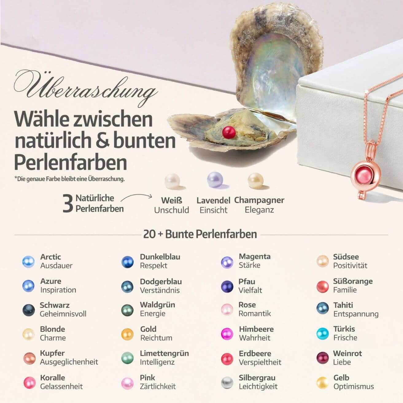 Orbis Kette + Auster