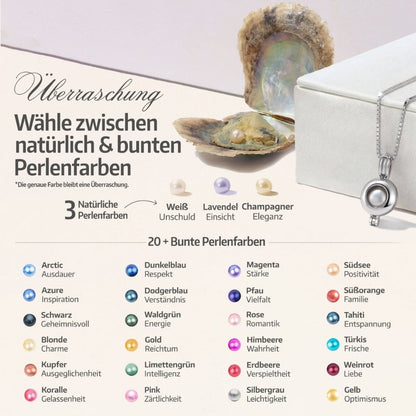 Orbis Kette + Auster