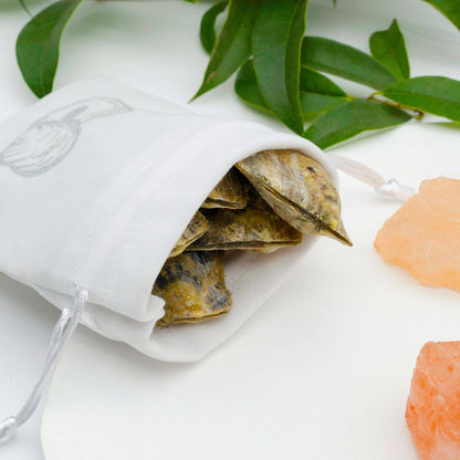 5 extra Austern - WunschPerlen5NP