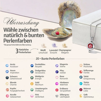 Orbis Kette + Auster