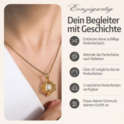 Lotus Kette + Auster