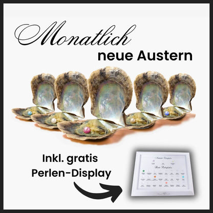 Monatliches Austern ABO