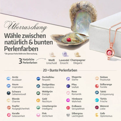 Orbis Kette + Auster