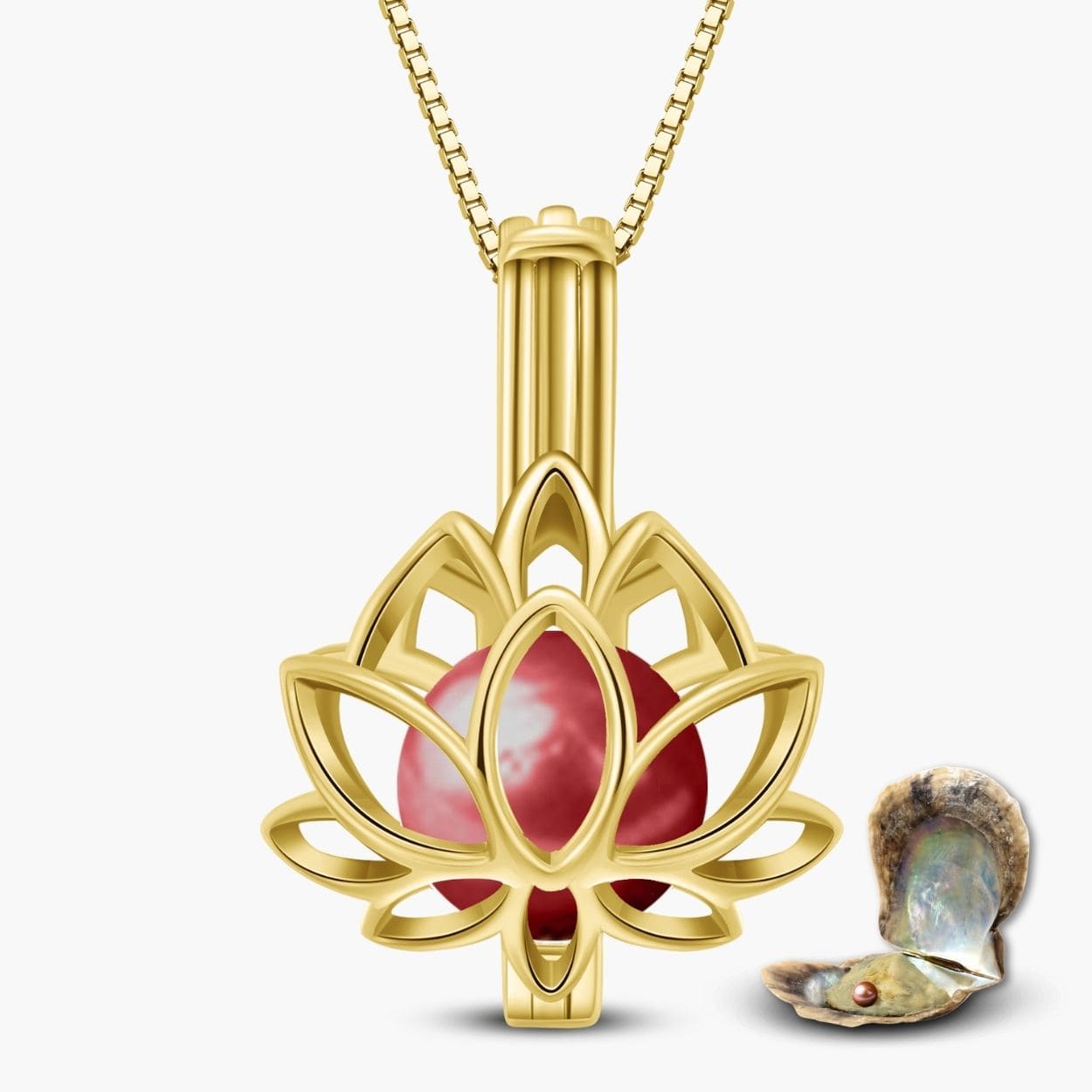 Lotus Kette + Auster