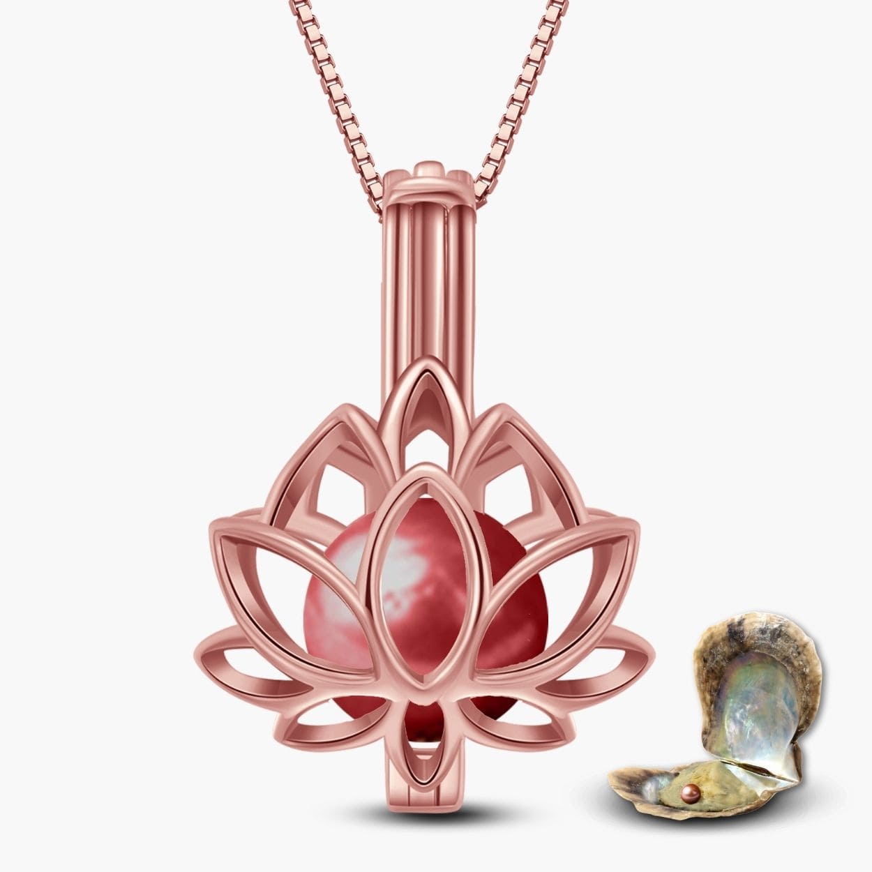 Lotus Kette + Auster